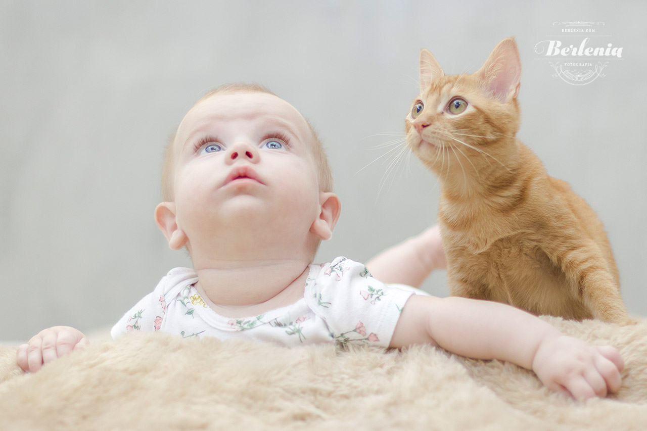 Book de fotos bebé de 6 meses - Sesión fotográfica de bebé de 6 meses en estudio - Villa Urquiza, CABA, Buenos Aires, Argentina - Berlenia Fotografía - 08