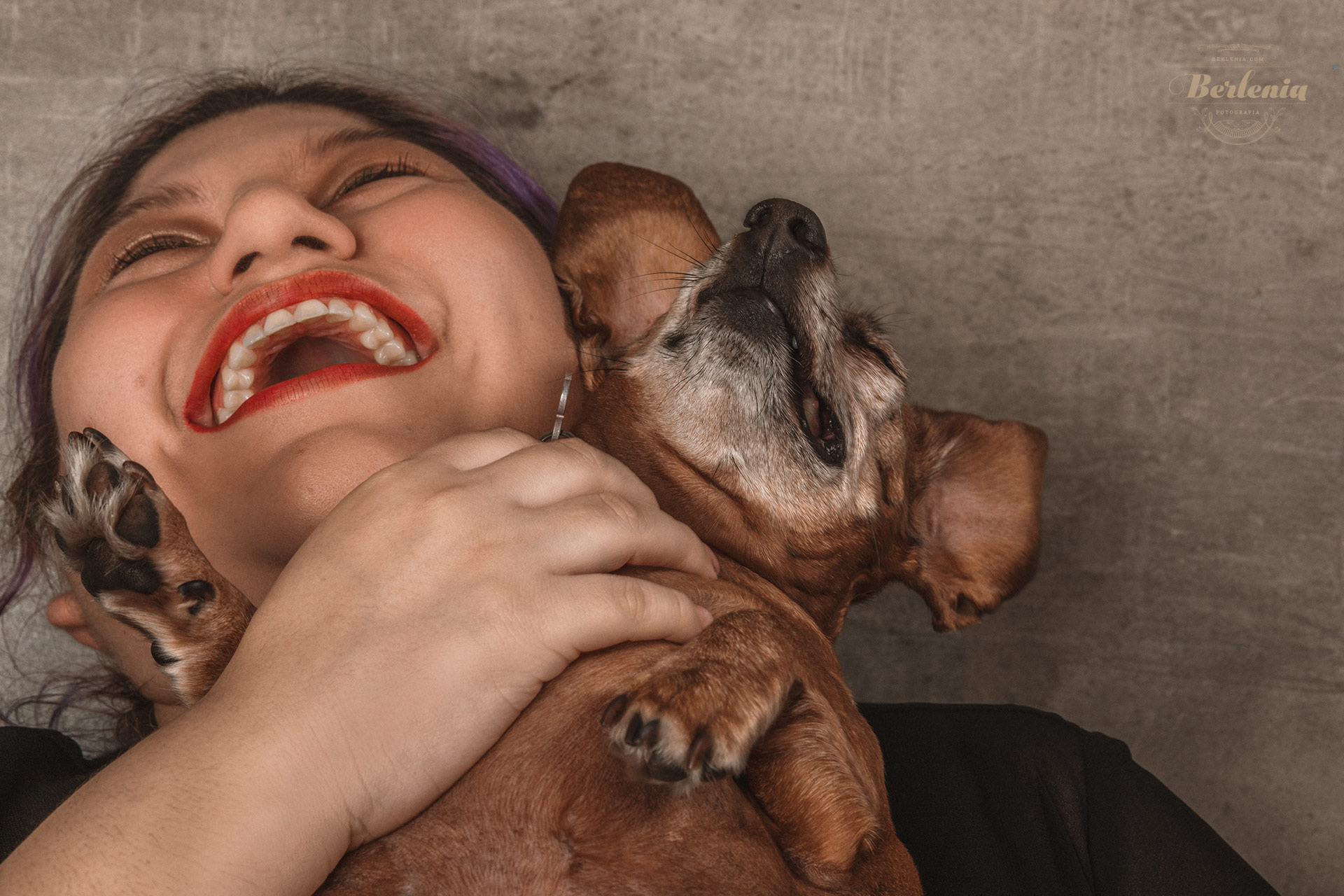 Sesión de fotos de perro salchicha - Fotografía de mascotas - Villa Urquiza, CABA, Buenos Aires, Argentina - Berlenia Fotografía - 17